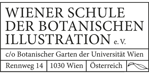 Wiener Schule der botanischen Illustration